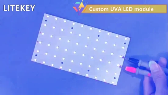 308nm 310nm UVB LED Module 12V 50MW 80MW for Pet Calcium Supplement